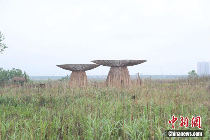 江水變清、江豚重現(xiàn)……這座城市如何守護(hù)碧水